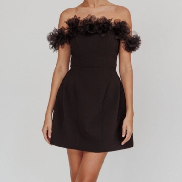 NWOT Off the Shoulder Tulle Detail Mini Dress - Picture 4 of 7